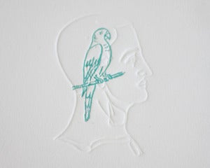 Image of Bird Brain