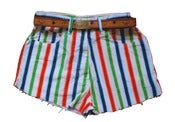 Image of In Living Color Shorts