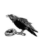 Image of Raven