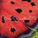 Image of Butterfly Dance Giclee Art Print