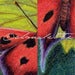 Image of Butterfly Dance Giclee Art Print