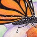 Image of Butterfly Dances on Flower Giclee Art Print