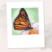 Image of Butterfly Dances on Flower Giclee Art Print