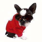 Image of Doggles ILS on UncommonPaws.com