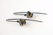 Image of Cypress Earrings