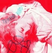 Image of LSSN002: TERROR BIRD - 'Outside' / 'When I Woke Up'