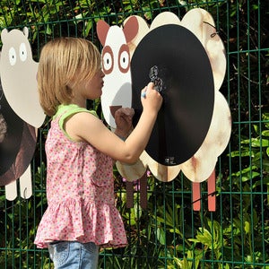 Image of Sheep