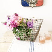 Image of Oyster Basket