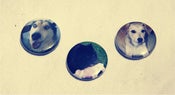 Image of DOG PIN