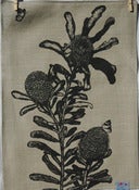 Image of Black summer butterflies