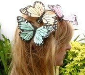 Image of Giant Butterfly Hairclips - 10 colours available
