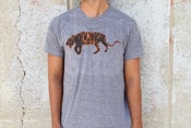 Image of OAL TIGER