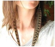 Image of Pheasant Feather Earrings