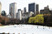 Image of Ice Rink
