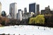 Image of Ice Rink