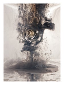 Image of White Rose I