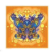 Image of BUTTERFLY_ORANGE