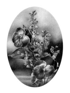 Image of Tendres Pensees
