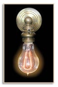 Image of F1920 Double Loop 30 Watt Reproduction Vintage Style Light Bulb