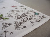 Image of <i>Moth</i> Tea Towel