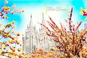 Image of SLC Temple Spring. Horizontal 