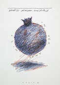 Image of This is Not a Pomegranate (2011)