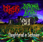 Image of Intracranial Butchery/ Plerosis SPLIT CD