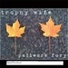 Image of Trophy Wife-Patience Fury-Digital Download (9 songs)
