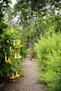 Image of Play in the Garden