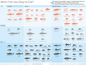 Image of WHICH FISH ARE OKAY TO EAT?<br>Digital Download