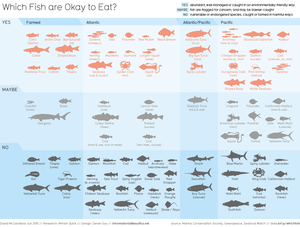 Image of Which Fish are Okay to Eat?