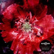 Image of Vagrants & Vagabonds DEBUT ALBUM