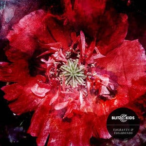 Image of Vagrants & Vagabonds DEBUT ALBUM