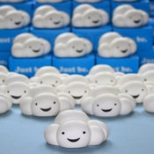 Image of Milo Pocket Art