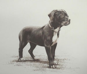 Image of Coco