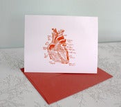 Image of parts of the heart anatomical diagram - blank notecard