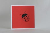 Image of ladybug