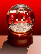 Image of F**K Snow Globe - Originally $60