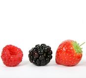 Image of Mixed Berry Habanero