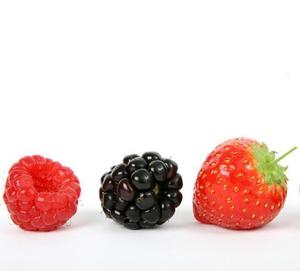 Image of Mixed Berry Habanero