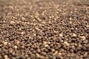 Image of Ethiopia Harrar - exotic