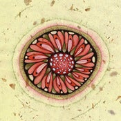 Image of Evolution - fruit slice mandala art
