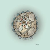 Image of The Wise Barnacle