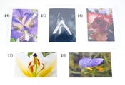 Image of Bright & Colourful Flowers Handmade Photo Cards - Liam Eyers 