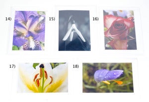 Image of Bright & Colourful Flowers Handmade Photo Cards - Liam Eyers