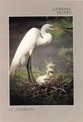 Image of Louisiana Wildlife Poster