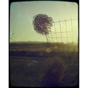 Image of Tim Irving Arizona Landscape