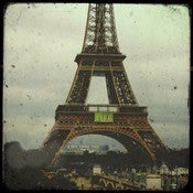 Image of Tim Irving The Joy of Life France