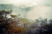 Image of Untitled #2