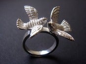 Image of Birds Ring